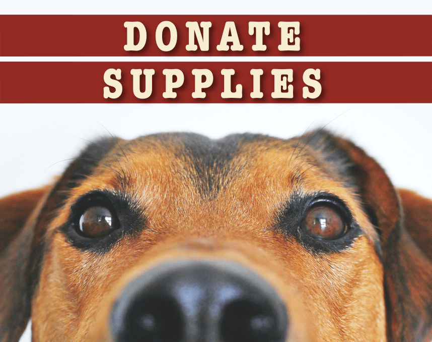 donate supplies