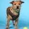 Fritzi 5163D