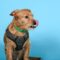 Fritzi 5163D