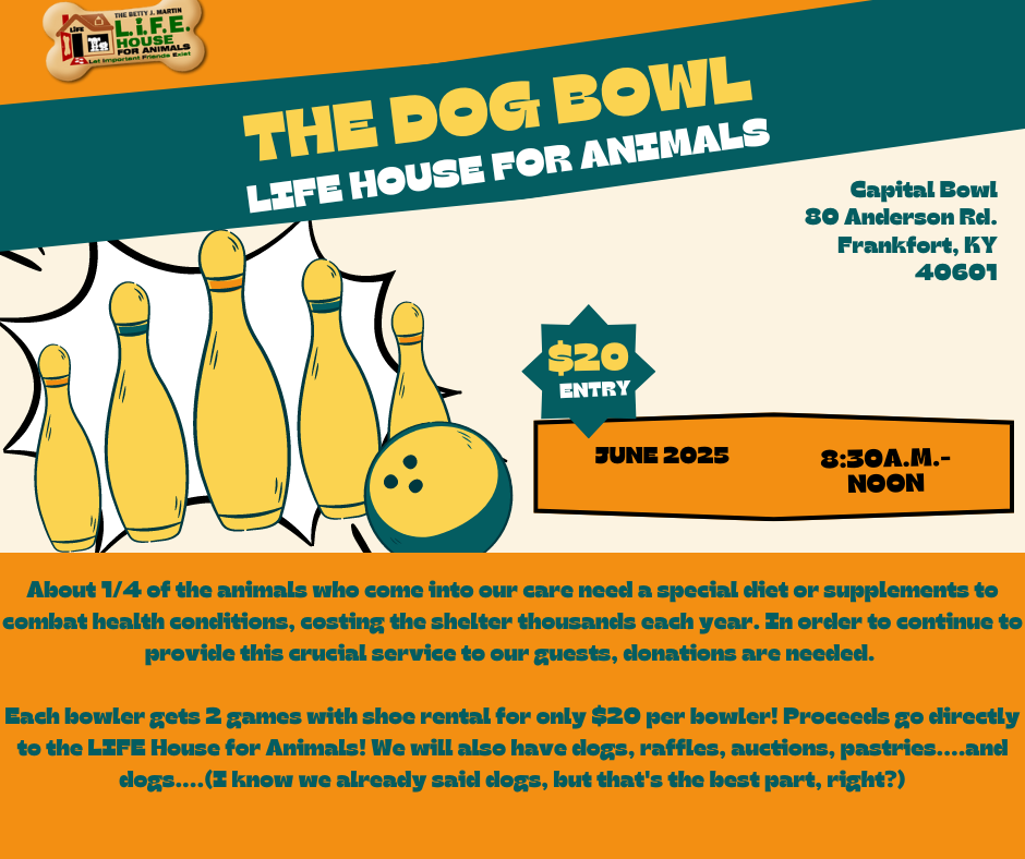 Dog Bowl Poster (Facebook Post)