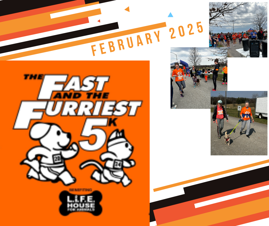 Fast and Furriest (Facebook Post)