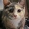 Lucy 5224