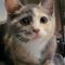 Lucy 5224