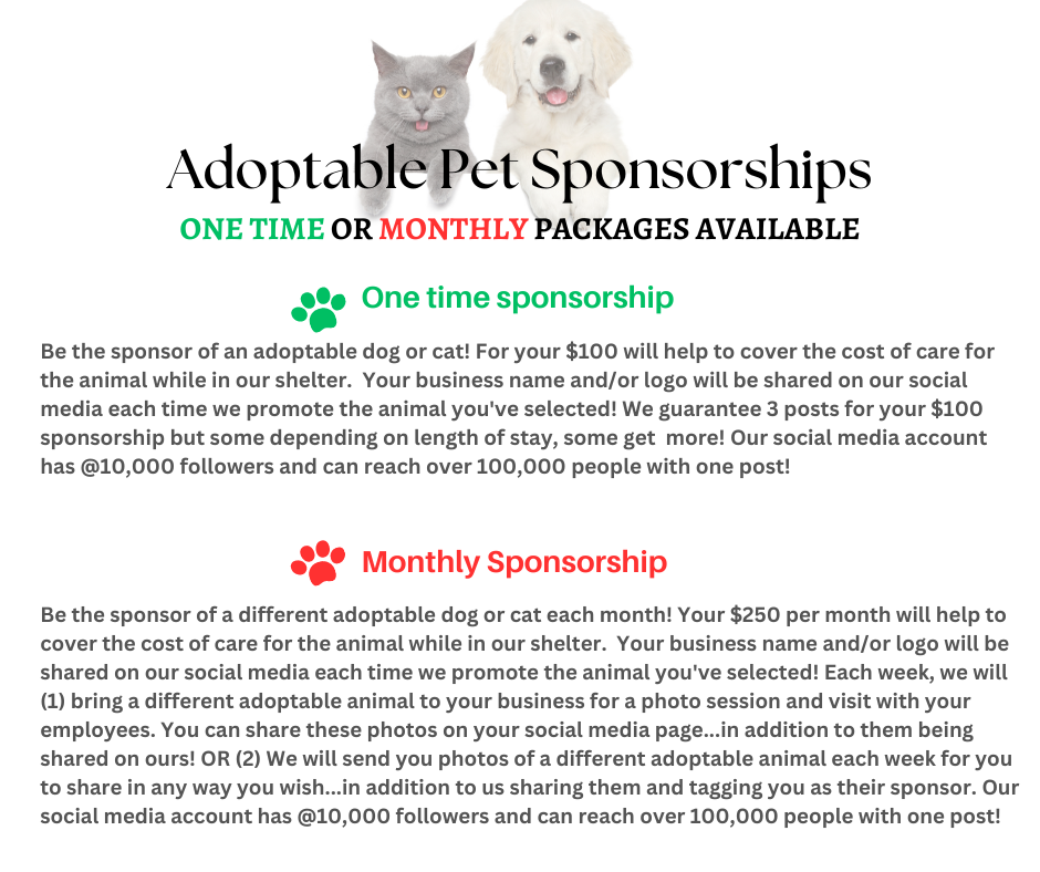 White And Grey Modern Cat With Dog Pet Care & Services (Facebook Post)