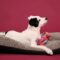 Thelma 5291