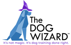Dog Wizard