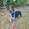 Zoey 5307