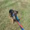 Zoey 5307