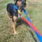 Zoey 5307