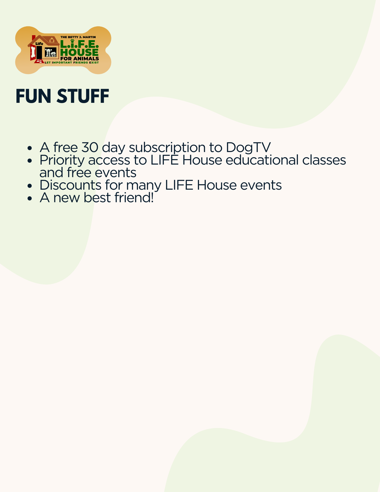 Fun Stuff