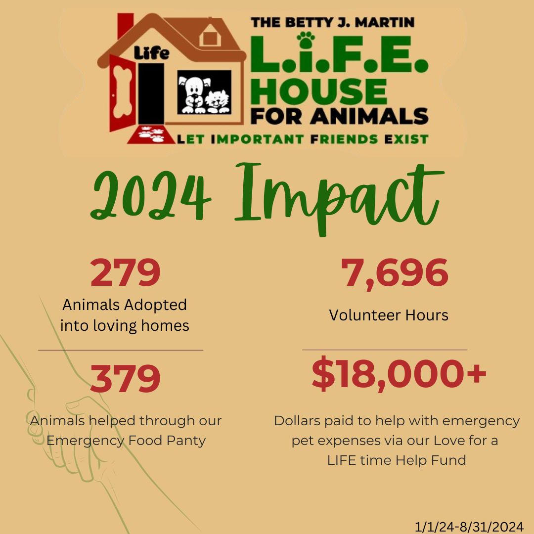 2024 Impact Graphic (6)