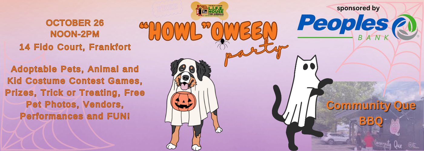 Facebook Orange Black Playful Simple Illustrative Halloween Party Invitation Flyer (3)