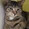 Phoebe 5410C