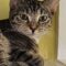 Phoebe 5410C