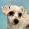 Dorothy 5514D