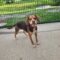 Mazy 5492D