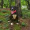 Maggie 5650 D