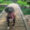 Maggie 5650 D