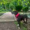 Maggie 5650 D