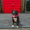 Maggie 5650 D