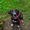 Maggie 5650 D
