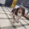 Millie 5743 D