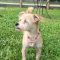 Missy 5824 D
