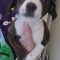 Gretchen 5834 D